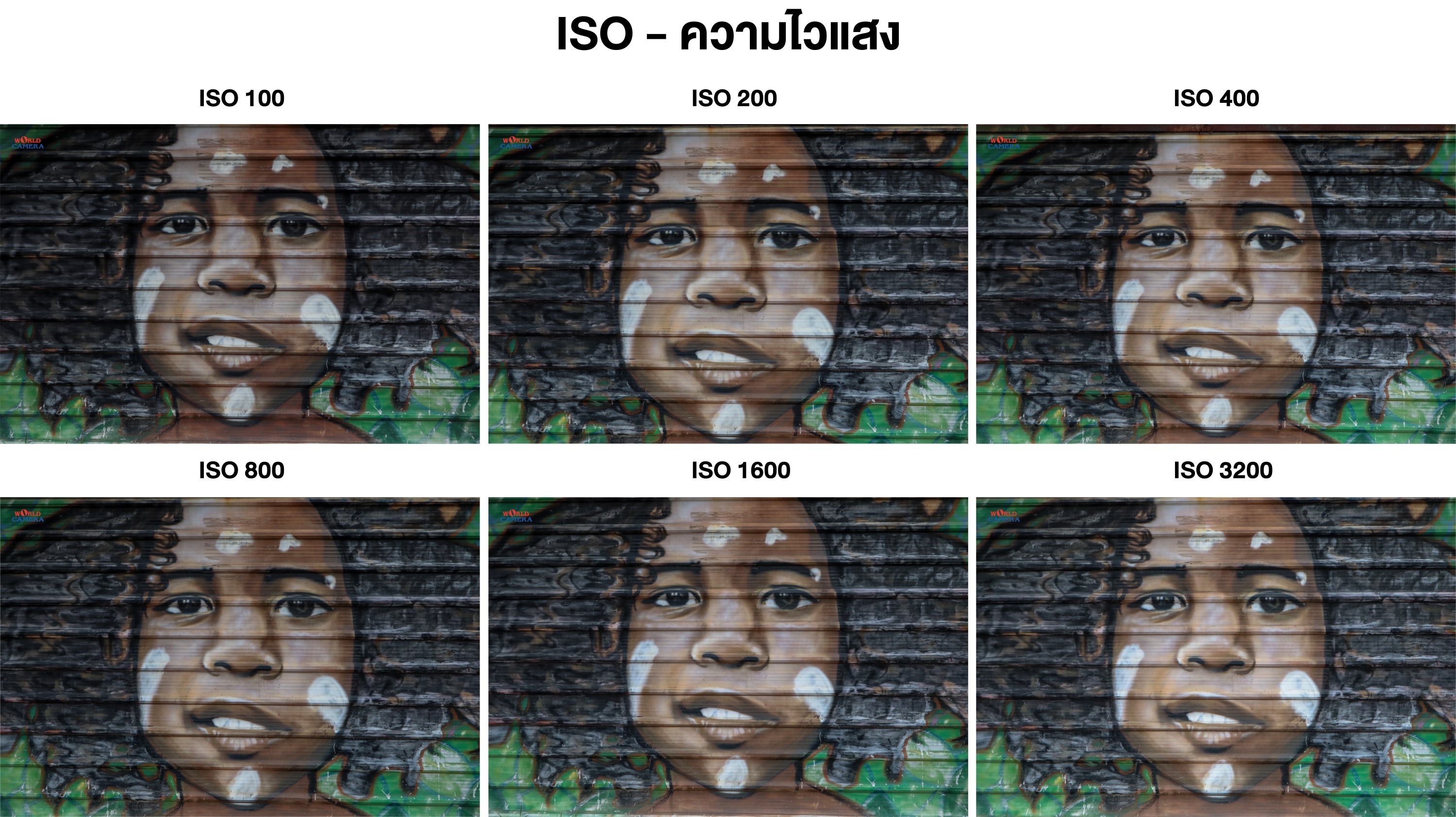 ISO M50 (Custom).jpg